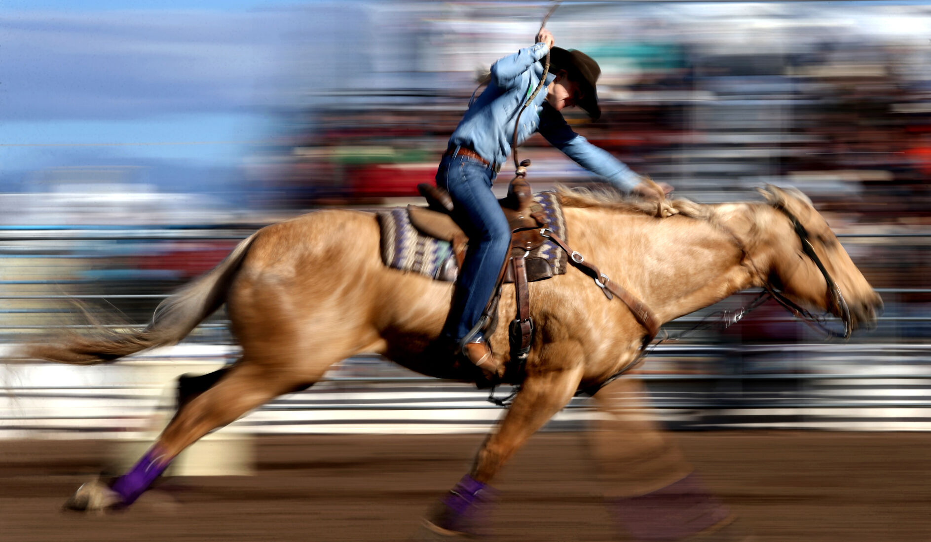 Tucson Rodeo